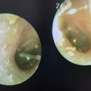복음보청기 성남센터 이미지