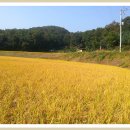 종선농장 이미지