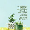 하니다방 이미지