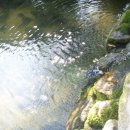 두산농장 이미지