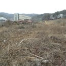 내곡동269 이미지