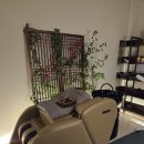 천기초건강약초백화점 | 대전 유성 헤드스파 지미헤르츠 NC백화점 힐링스파 솔직후기