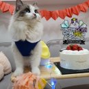 세온아트 이미지