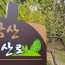 매암산 등산로 이미지