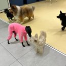 헬로우버디 판교밸리점 이미지