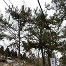 손파티연구소
