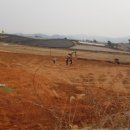 고창2호태양광발전소 이미지