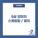 박물관옆동물병원 이미지