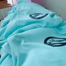 용인대 무궁화 태권도장 이미지