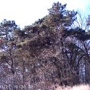 용산-194 이미지