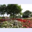 곡성-028 이미지