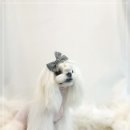 아리하우스 이미지