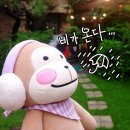 스테이지니 이미지