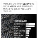 일도돈 이미지
