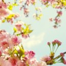 원*하 - 미추홀구 용정공원로 33 | 원*하