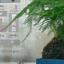 2010성형외과의원 이미지