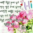 기분좋은하루 이미지