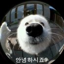 새한글로벌렌트카 이미지