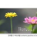 [매일복음(가해) 20-09-11] - "위선자야, 먼저 네 눈에서 들보를 빼내라. 그래야 네가 형제의 눈에 있는 티를 뚜렷이 보고 빼낼 수 있을 것이다."(루카 6,39-42) 이미지