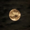 라벨피아노학원 이미지