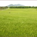 윤용하 농장 이미지