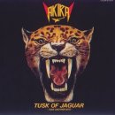 Akira Takasaki - Tusk of Jaguar 이미지
