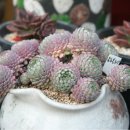 애지농장 이미지