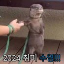 [취미운동] 울산아산스포츠센터 수영 기초과정 &#34;수린이 1개월 수영강습 후기&#39;