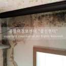 곰팡이헌터 이미지