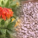 운동으로 지키는 관절 건강 | 💪 2025년 퇴행성관절염 : 관절 건강/지키는 영양제 총정리