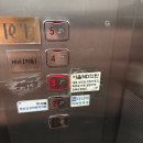 강남피부관리 살롱드비숑 강남점(ND헬스케어) 복부관리 솔직 후기
