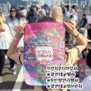 시민택시(자) | 대혼란의 2025 광안대교 브런치온더브릿지 부산행사 솔직 자세한 후기