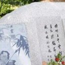 신위 카카오 검색결과