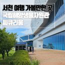 대장금 손칼국수 가오리점 | 30개월 둥이들과 1박 2일 서천 여행 둘째 날(국립해양생물자원관 씨큐리움, 서천해물칼국수)