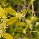 10억노래연습장 이미지