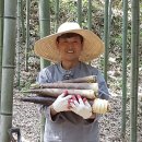 새순영농조합법인 헤럴드경제