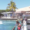 무진양식장 | 호주 가족 여행 추천 이유가 있네 골드 코스트 바다 후기+가볼만한 곳