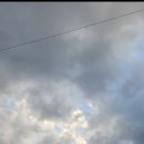 밝은미래약국 이미지