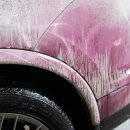 김영철 손세차장 이미지