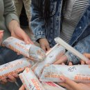 용인시 관광안내소(에버랜드) | [용인] 🎡친구들이랑 다녀온 에버랜드 동물투어🐾 | 퍼레이드&amp;어트랙션까지 찐 후기!