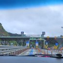 [일기] 20260620 푸른 낭만을 선물할게