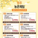 약선마을 시골밥상 이미지