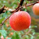 선암어린이집 이미지