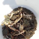 성진농원민박 이미지