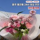 무인39 | 광주24시 무인 동천동꽃집 크리스마스 꽃선물은 세이플레르