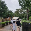 치유의숲 공중화장실 이미지