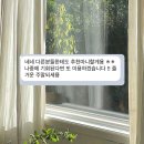 아리아2 | 광주 소규모 돌잔치 후기 ㅣ 아리아테이블 2호점 스튜디오아리아