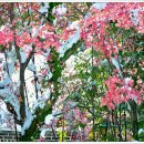 춘하추동 이미지