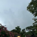 대릉원 | [경주 나들이] ☔️비오는날 경주 경주십원빵/향화정/경주대릉원 내돈내산후기