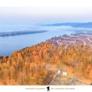 은행나무숲 주차장 부근 이미지